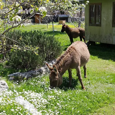 Blacktree Farm And Cottages