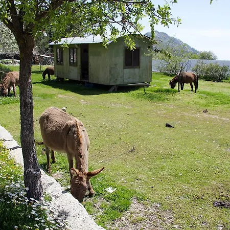 Blacktree Farm And Cottages