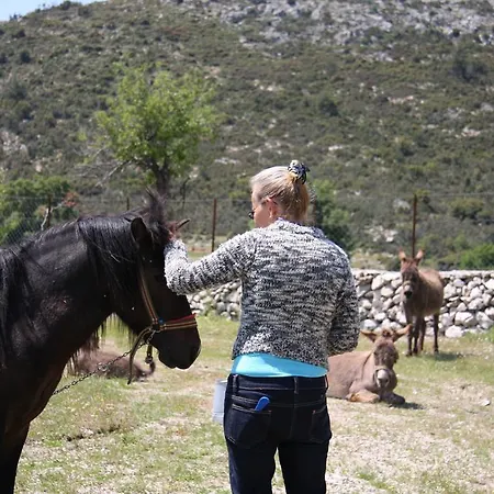 Country house Blacktree Farm And Cottages Fethiye