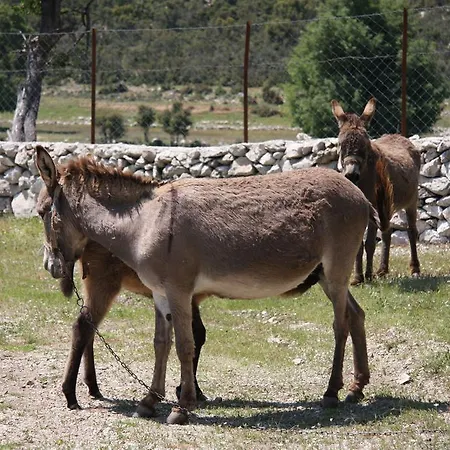 Blacktree Farm And Cottages