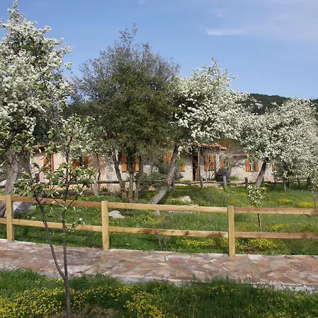 Blacktree Farm And Cottages