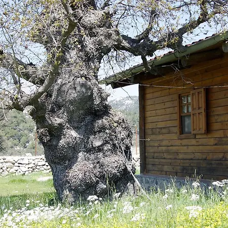 Country house Blacktree Farm And Cottages *