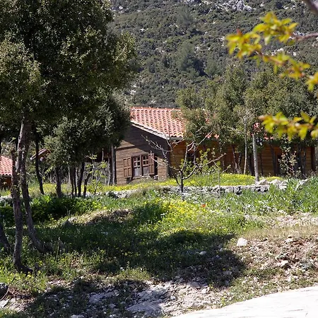 Blacktree Farm And Cottages Fethiye