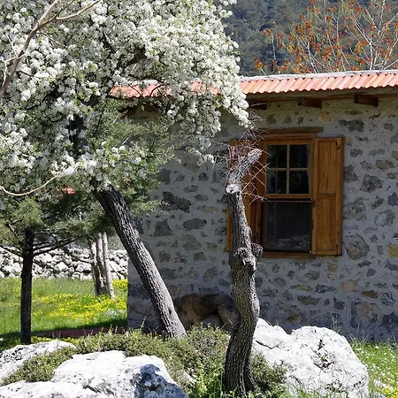 Blacktree Farm And Cottages Fethiye