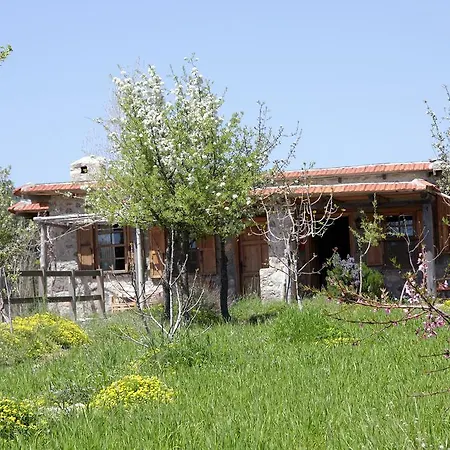 Blacktree Farm And Cottages